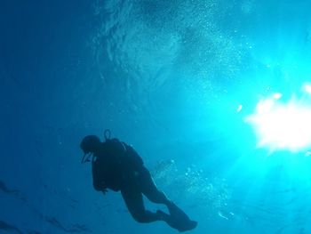 Low angle view of silhouette scuba diver in blue sea