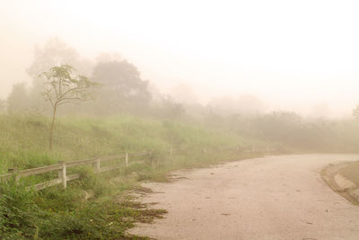 Road by trees on field against sky during foggy weather