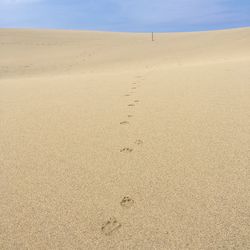Footprints on sand at beach against sky