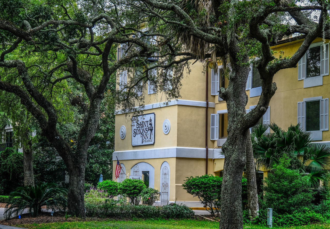 TREES AND PLANTS IN PARK AGAINST BUILDING