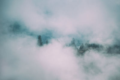 Low angle view of trees against sky