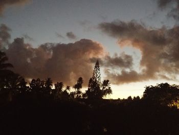 Low angle view of silhouette trees against sky at sunset