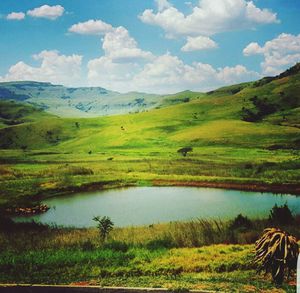 Scenic view of agricultural field against sky