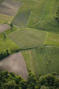 Agriculture field limits