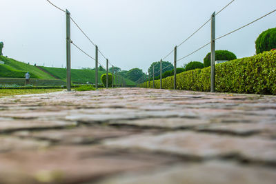 Surface level view of footpath in park against sky