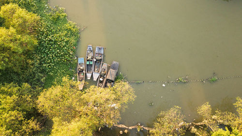 High angle view of plants by lake