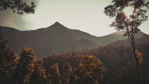 Scenic view of mountains against clear sky