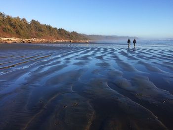 Rear view of friends walking at beach against clear sky