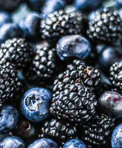 Full frame shot of blueberries