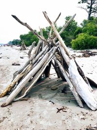Stack of logs on beach