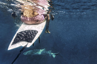 Surfer with surfboard over shark in sea