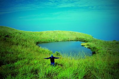 Scenic view of grassy landscape