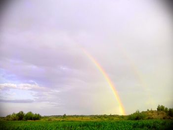 Scenic view of rainbow over field