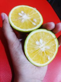 Close-up of hand holding apple