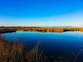 Scenic view of lake against clear blue sky