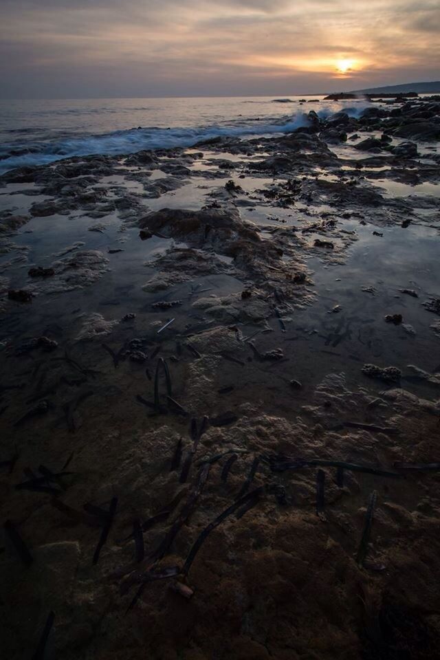 SUNSET OVER CALM SEA