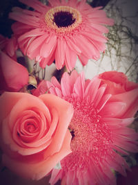 Close-up of pink flowers blooming outdoors