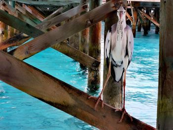 High angle view of pier on sea