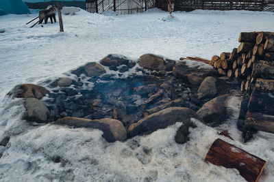 winter