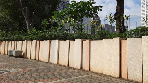 Footpath by palm trees in park