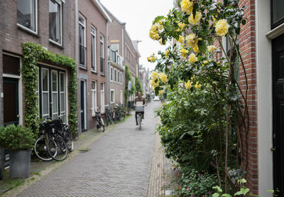 Alley amidst houses in city