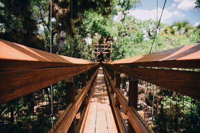 Footbridge over trees