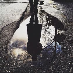 Reflection of bare trees in puddle