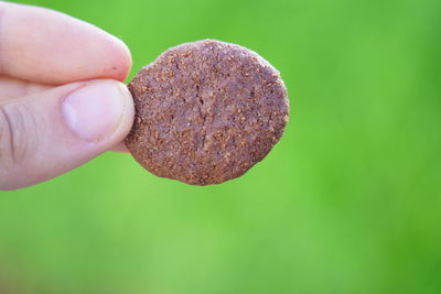 Close-up of hand holding ice cream