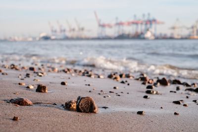 Rocks on beach