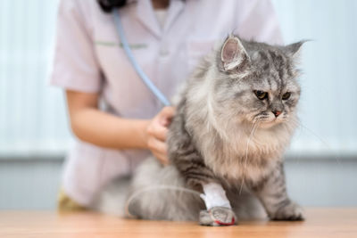 Midsection of woman with cat standing on floor