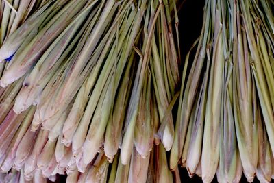 Full frame shot of vegetables for sale at market stall