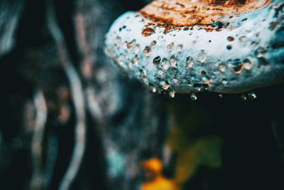 Close-up of raindrops on sea
