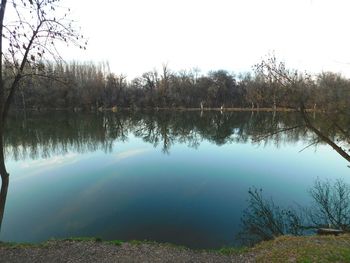 Reflection of trees in calm lake