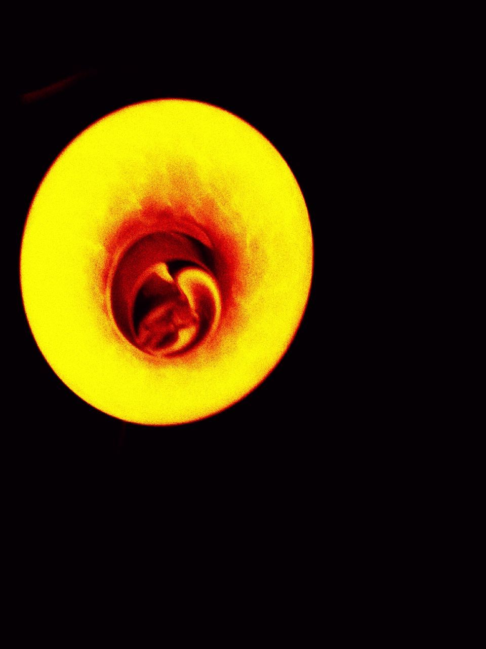 CLOSE-UP OF LIGHT BULB OVER BLACK BACKGROUND