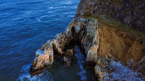 Berry head