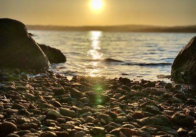 Scenic view of sea during sunset