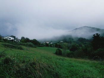 Scenic view of field against sky