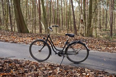 Bicycle parked by tree in forest
