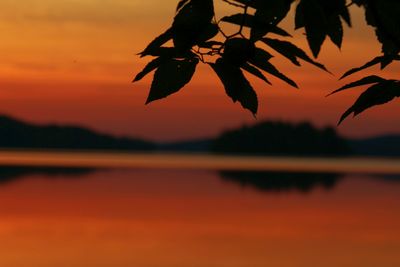 Scenic view of lake at sunset