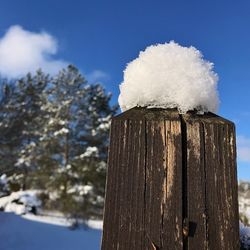 Low angle view of wooden post against sky during winter