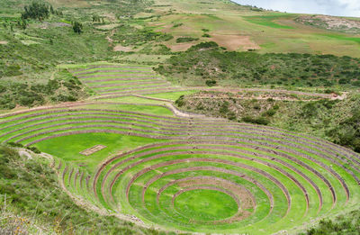 High angle view of moray on sunny day