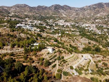 High angle view of trees and buildings