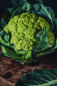 High angle view of green vegetables on table