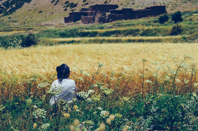 Rear view of woman sitting on field