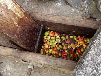 High angle view of fruits