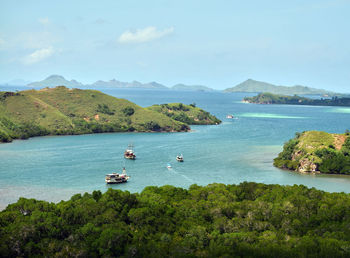 Komodo island