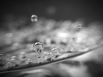 Close-up of water drops on leaf