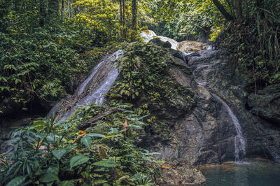 Stream flowing through rocks in forest