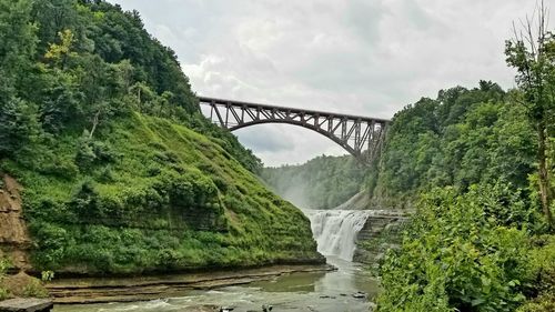 Bridge over river amidst trees against sky