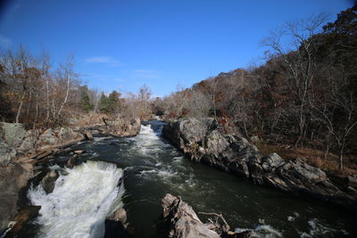 River stream amidst trees against sky
